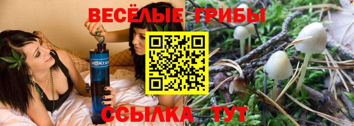 Галлюциногенные грибы мухоморы Россошь