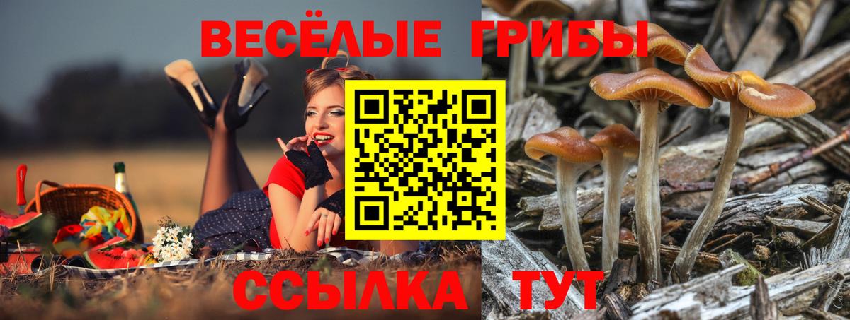 Галлюциногенные грибы мицелий  Вход с VPN  Россошь 